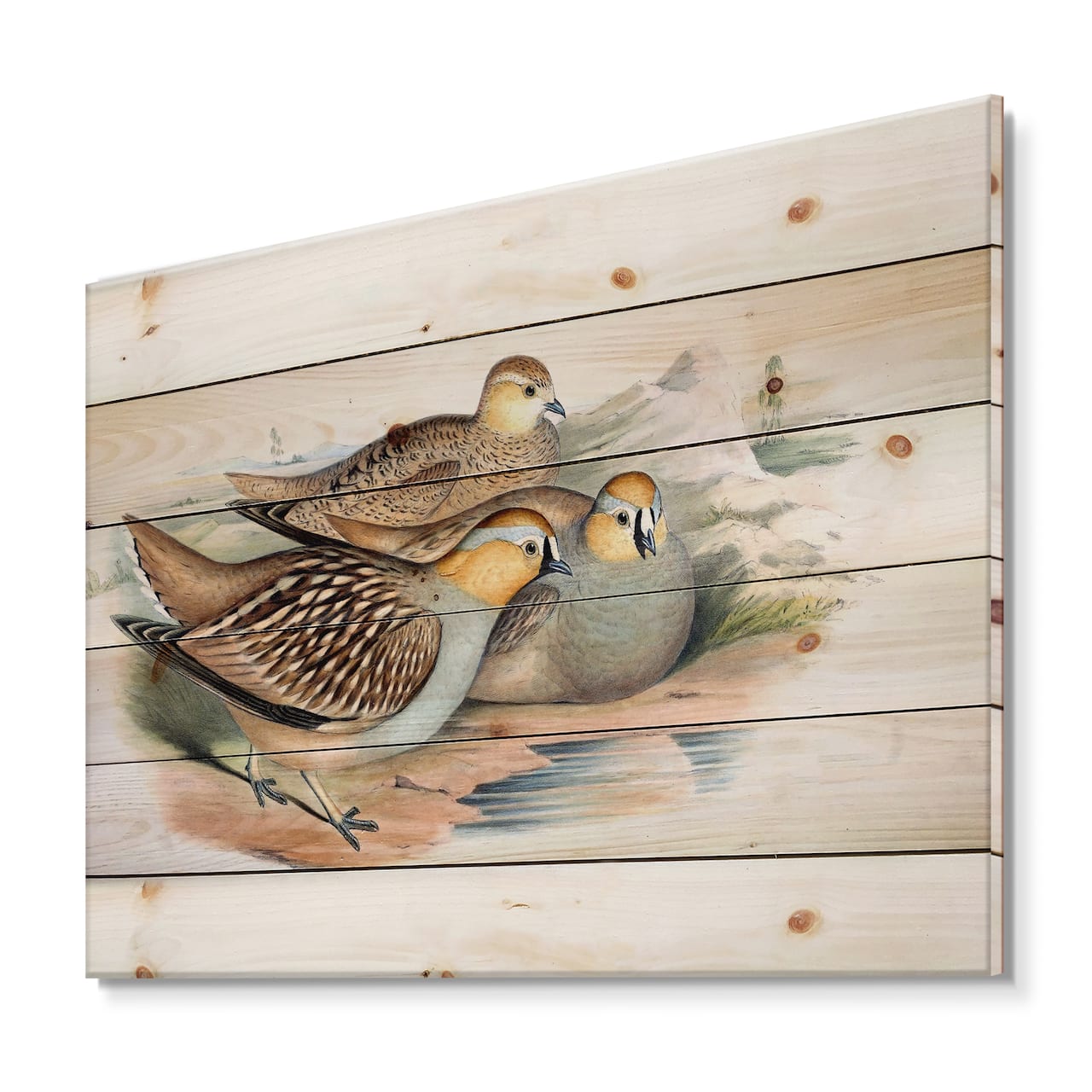 Designart - Vintage Birds In The Wild III - Traditional Print on Natural Pine Wood